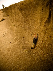 09-11-23  miniMinky0  