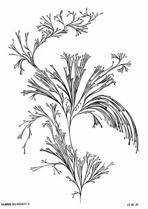 09-03-27  possible 03