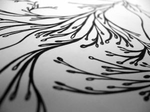 09-04-30  possible 04 photo1